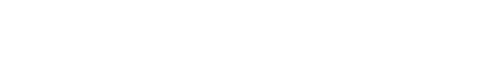 Flock Safety Logo
